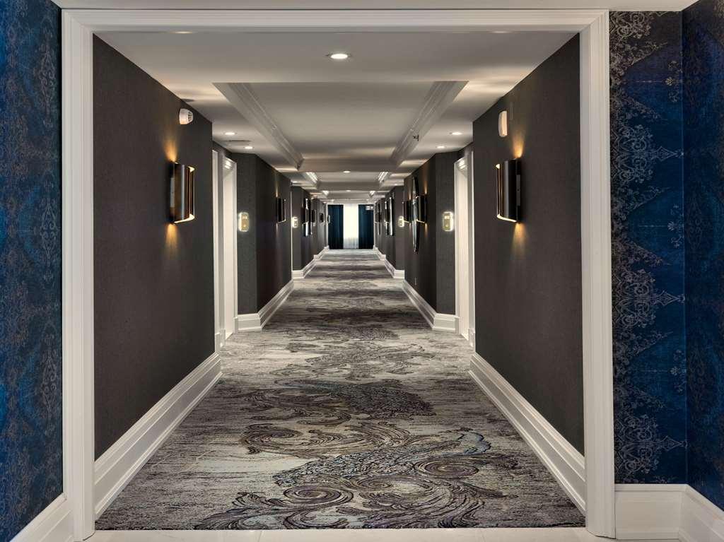 Доотель Стрешнево Водрей Джорион Номер фото A carpet in a hotel